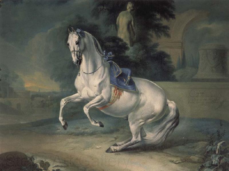 Johann Georg von Hamilton The women stallion Leal in the Levade Norge oil painting art